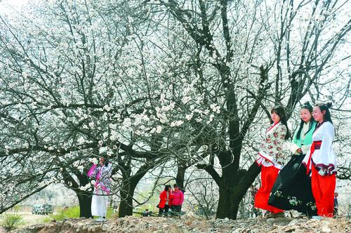 篮球比分捷报实时数据面板